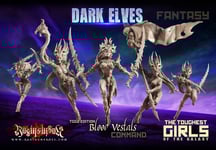 Dark Elves: Blood Vestals, Command Group (ver 2)