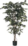 Red Hot Plants Artificial Ficus Tree - Green or Variegated Leaf - 3 sizes (Green, 1.8m (6ft))