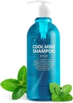 Cool Mint Shampoo, for Dry Hair, Relief Icy Menthol, Fresh Peppermint, Scalp Tre
