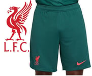 Liverpool FC 22/23 Shorts Medium Dri Fit Stadium Third Teal Nike Men Slim Fit