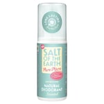 Salt of the Earth Pure Aura Melon & Cucumber Deodorant Spray - 100