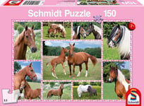 SCHMIDT - 150 Pieces Horse Dreams Puzzle -  - SCM56269