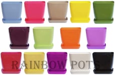 Decor Square Flower Pots Colours Gloss Plastic Plant Pots Planter Saucer Orchid - 13 colours and 3 sizes to choose from (Gold, 14 cm - 5.5 inch)