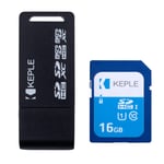 16GB SD Memory Card with USB Reader Adapter Compatible with Canon Powershot SX260 HS SX240 HS SX500 IS SX160 IS SX50 HS SX270 HS SX280 HS SX430 SX60 SX610 HS SX710 HS SX530 HS SX410 IS Digital Camera