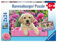 Ravensburger - Puzzle Enfant - Puzzles 2x24 p - Amis tout doux - Dès 4 ans - 05029