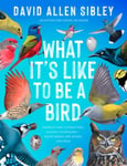 David Allen Sibley - What It's Like to Be a Bird (Adapted for Young Readers) From Flying Nesting, Eating Singing--What Birds Are Doing and Why Bok