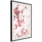Plakat - Blooming Cotton - 40 x 60 cm - Sort ramme med passepartout