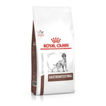 Royal Canin Veterinary Diets Dog Gastrointestinal (15 kg)