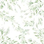 Spirea - Vit