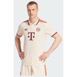 adidas FC Bayern 24/25 Authentic Tredjetröja, storlek Medium