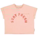 Piupiuchick T-shirt Med Tryck Ljusrosa | Rosa | 12 months