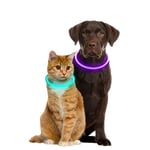 Uppladdningsbart halsband till katt och hund LED