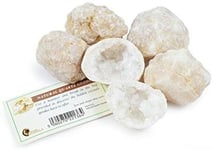 Break Your Own Geodes - Great for Party Bags! (Pack of 5)