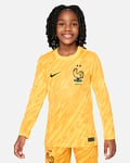 FFF 2024/25 Stadium (herrelaget, keeperdrakt) Nike Dri-FIT Replica fotballdrakt til store barn