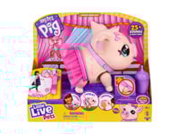 Littlest Pet Shop Grooming Spa Play Pack