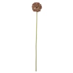 Bloomingville Allium Konstgjord Blomma Brun