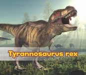 - Tyrannosaurus Rex Bok