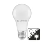 Ledvance LED skymnings-sensor lampa 2700K 806lm E27 8,8W 4099854043956