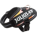 Julius-K9 IDC Sele Baby 1 Rosa Med Blommor 29-36 cm