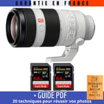 Sony FE 100-400mm f/4.5-5.6 GM OSS + 2 SanDisk 64GB UHS-II 300 MB/s + Guide PDF 20 techniques pour réussir vos photos