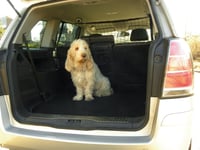 Carpoint hundnat extra starkt
