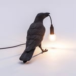 Bird Lamp Waiting bordslampa svart