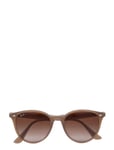 0Rb4305 Designers Sunglasses Round Frame Sunglasses Brown Ray-Ban