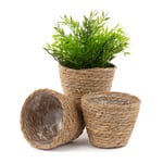 Handwoven Seagrass Flower Plant Pots - Set of 3