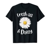 Womens Daisy Tee Cute Daisy Graphic Fresh As A Daisy T-Shirt