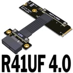 30CM R41UF 4.0 Câble d'extension M.2 NVME vers PCIE X1 4.0, pleine vitesse, clé M2, SSD, Interface de carte mère PCI-E4.0, adaptateur convertisseur 16G/bps Nipseyteko