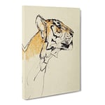 Study Of A Tiger Vol.2 By John Macallan Swan Asian Japanese Canvas Wall Art Print Ready to Hang, Framed Picture for Living Room Bedroom Home Office Décor, 20x14 Inch (50x35 cm)