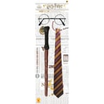 Kit Lunettes + Baguette + Cravate Harry Potter - Le Pack