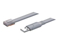 Teltonika Console cable - Seriell RS-232-kabel - USB (hane) till RJ-45 (hane) - 1.8 m - USB 2.0 - för Teltonika RUTXR1