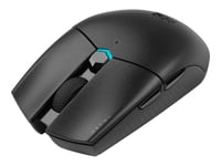 CORSAIR Gaming KATAR PRO XT - Souris - optique - 6 boutons - filaire - USB