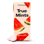 True Mint Watermelon