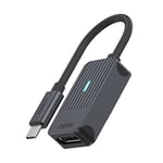 Rapoo USB-C Adaptateur Gris USB-C vers DisplayPort