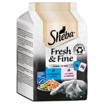 Sheba Fresh & Fine -säästöpakkaus 72 x 50 g - tonikala & lohi hyytelössä
