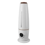 Large Room Humidifier 5L Ultra Quiet Standing Humidifier EU Plug BG