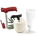Portable Opening Driller Coconut Drill Hole Coconut Shell Opener Punching Tool