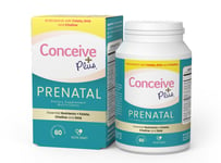 Conceive Plus Prenatal Support