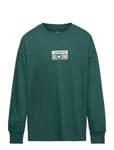 Lk-L/S Knit Top Green Converse