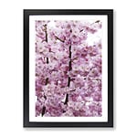 Pink Cherry Blossom Tree 4 Modern Framed Wall Art Print, Ready to Hang Picture for Living Room Bedroom Home Office Décor, Black A4 (34 x 25 cm)