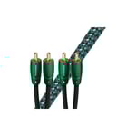 Câble RCA AUDIOQUEST Evergreen RCA (5 m)