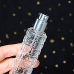 30ml Återfyllningsbar Parfymflaska Kosmetisk Behållare SILVER