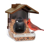 Wasserstein Bird Feeder Camera Case Compatible with Blink, Wyze, and Ring Cam - Bird Feeder for Bird Watching with Your Security Cam - (Camera Not Included)