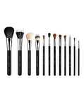 Sigma Essential Brush Set