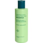 Barberino's Hiukset Hiustenhoito Energizing Reinforcing Shampoo 200 ml