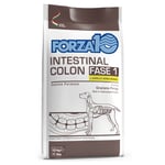Forza 10 Intestinal Colon Phase 1 med lamm - 10 kg