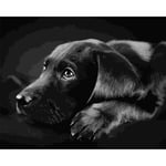 N / A RKYNB Painting By Numbers DIY Black Labrador Retriever Animal Canvas Wedding Decoration Art Gift 40X50CM