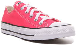 Converse All Star 164294C Ortholite Trainers In Fuchsia Colour Size UK 4 - 8